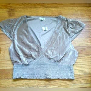 Aerie NWT Velvet Tan V Neck Crop Top Women’s M
